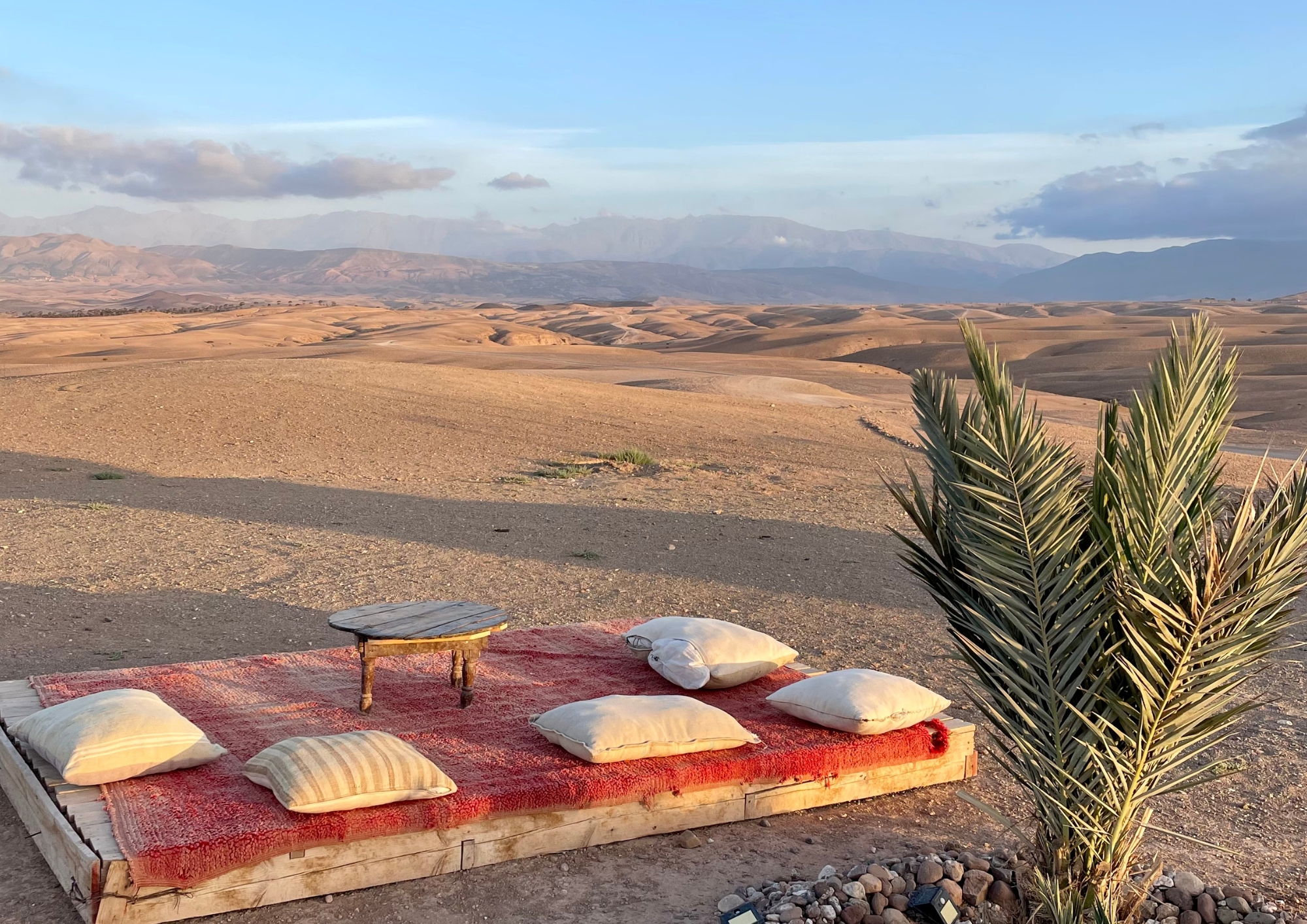 Ziz Valley Palm Grove