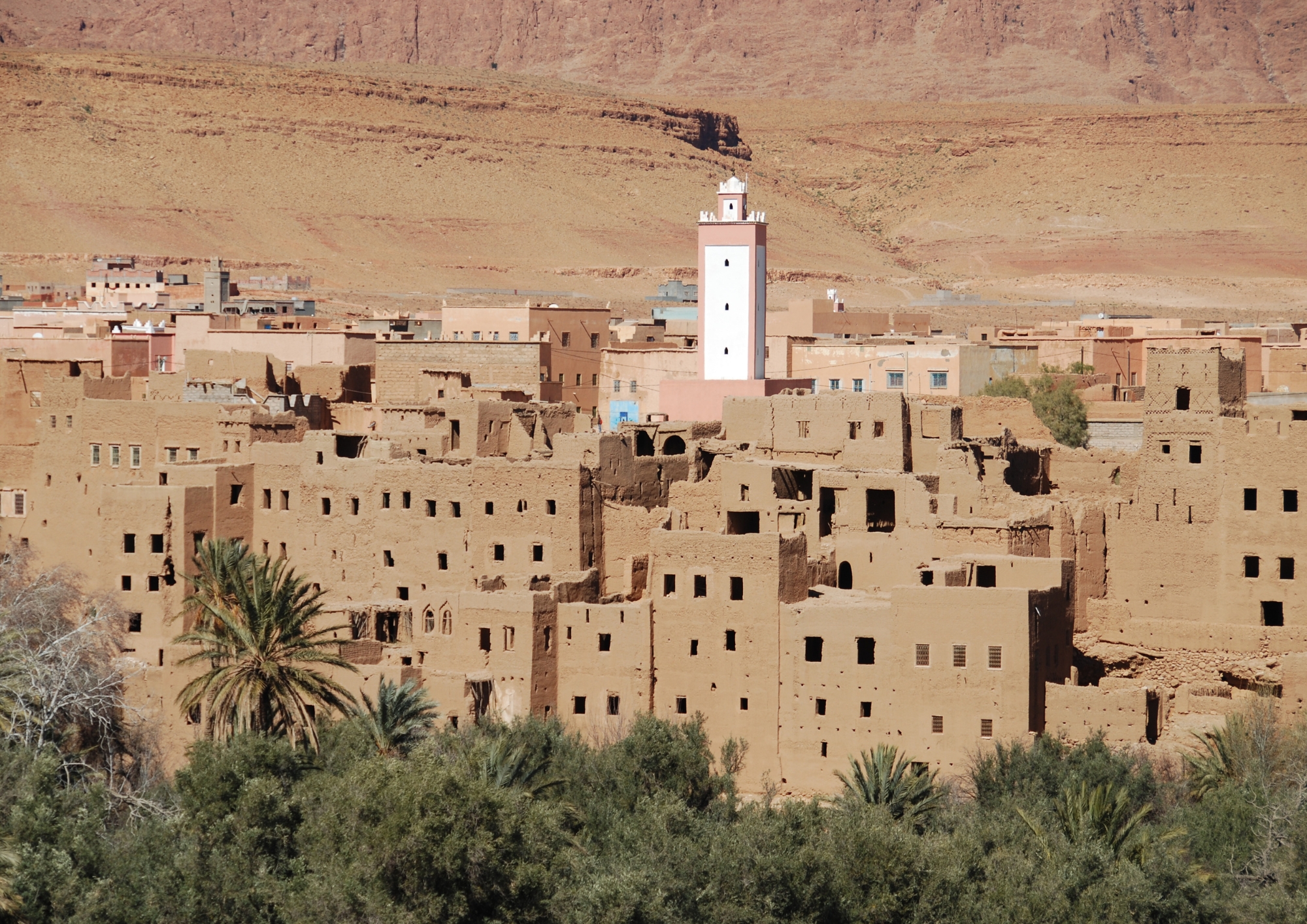Draa Valley Oasis