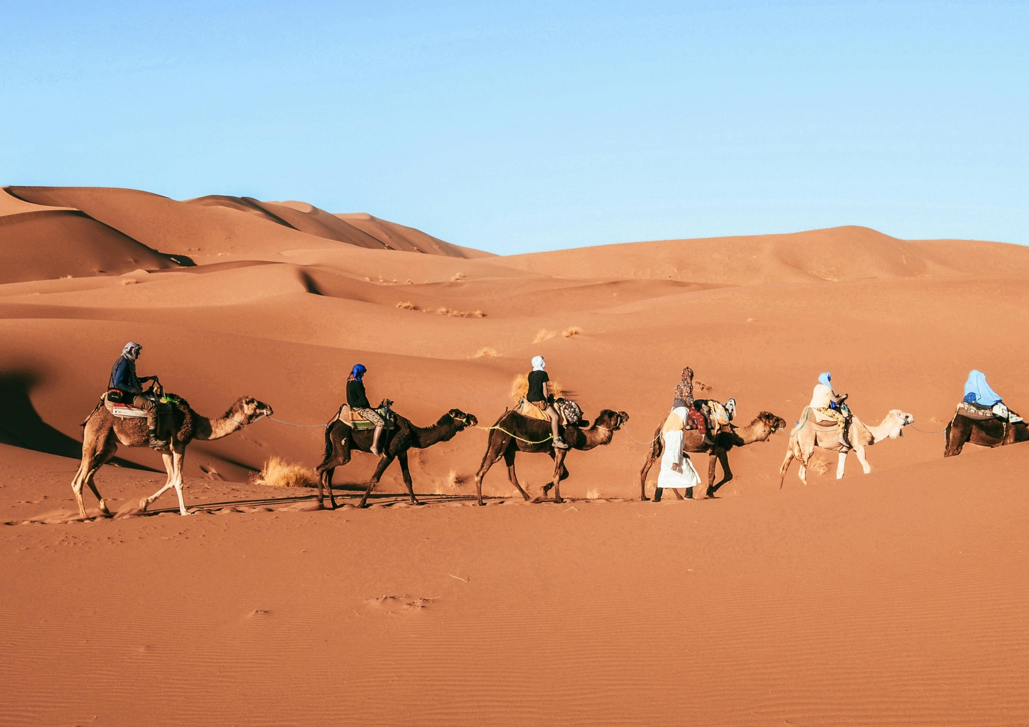 Luxury Desert Camp