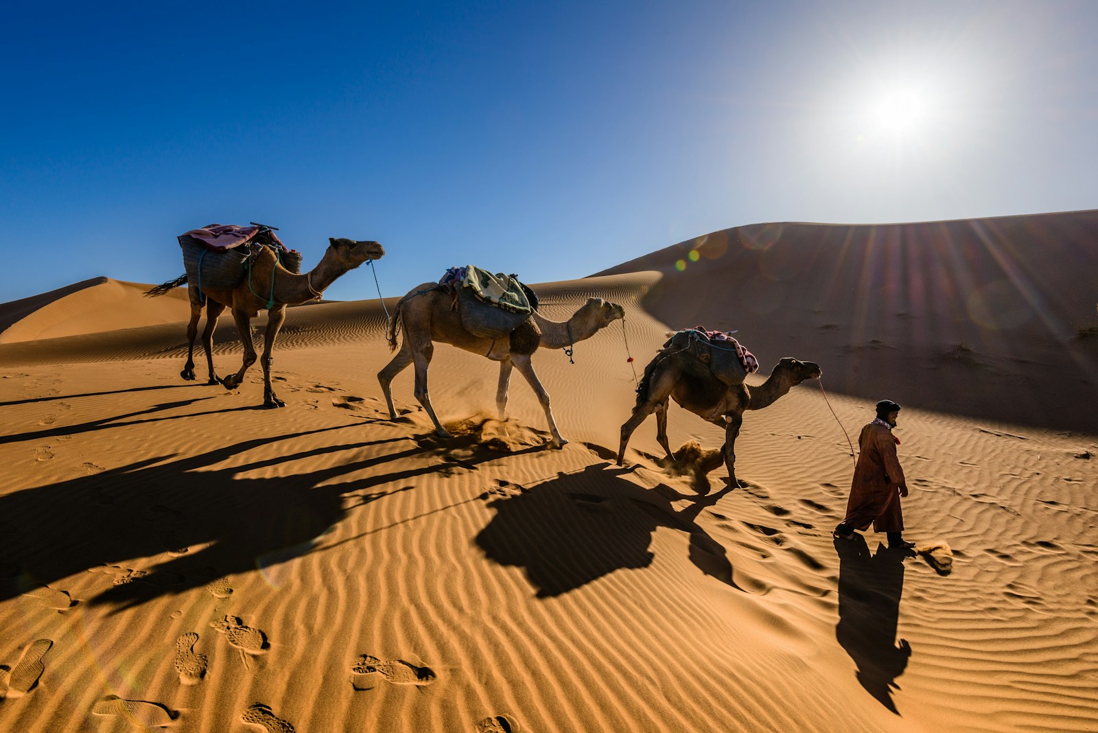 Merzouga Desert