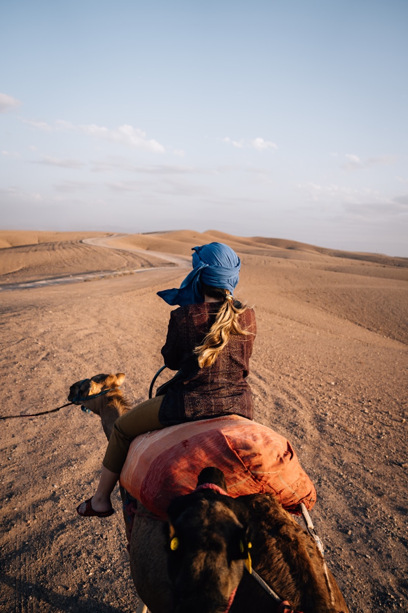 Sunset in the Sahara