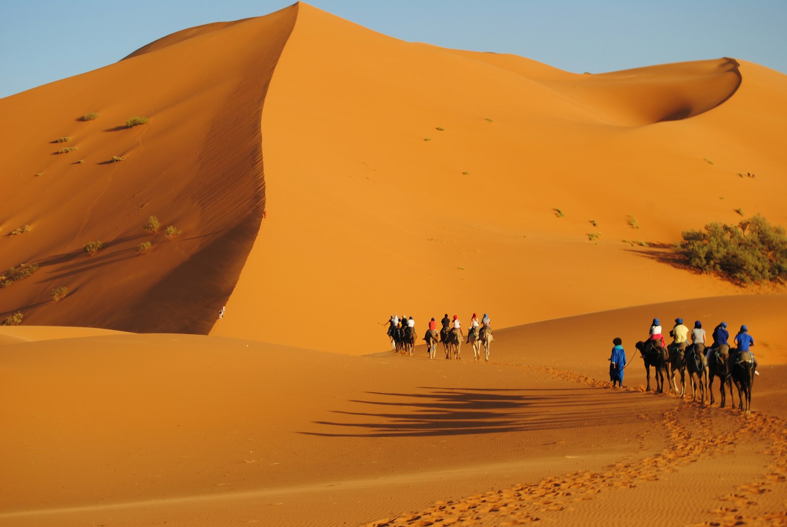 Sunset Camel Ride in Palmeraie