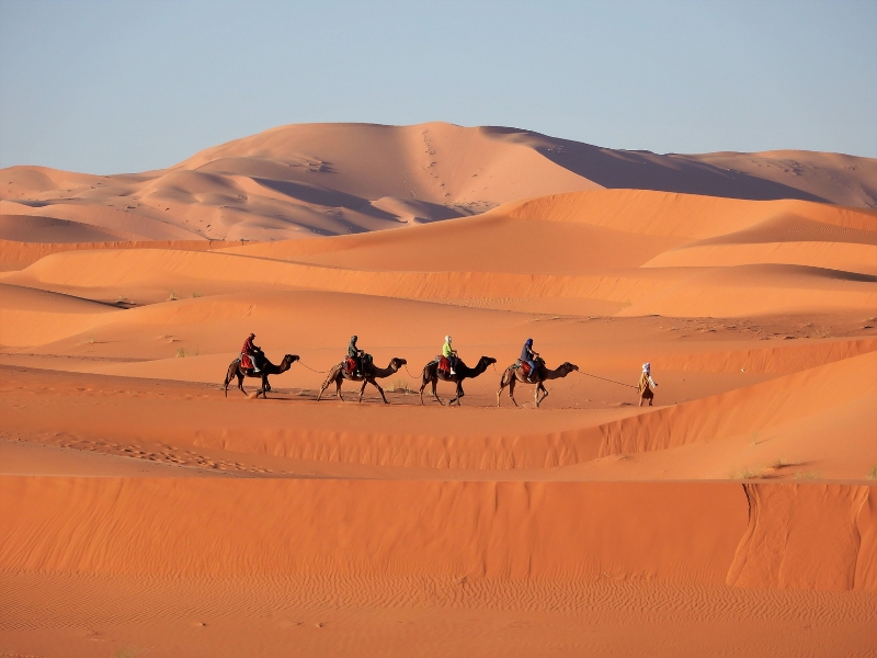 Luxury desert camp in Merzouga with golden dunes